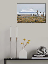 Not another cruise ship Poster och Canvastavla