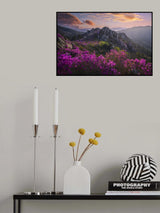 When azaleas bloom Poster och Canvastavla
