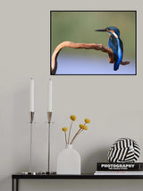 The blue fisherman Poster och Canvastavla