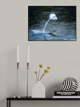 Jump Poster och Canvastavla
