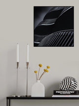 The balustrades Poster och Canvastavla