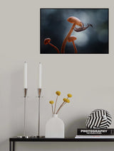 Mushrooms and Insects Poster och Canvastavla