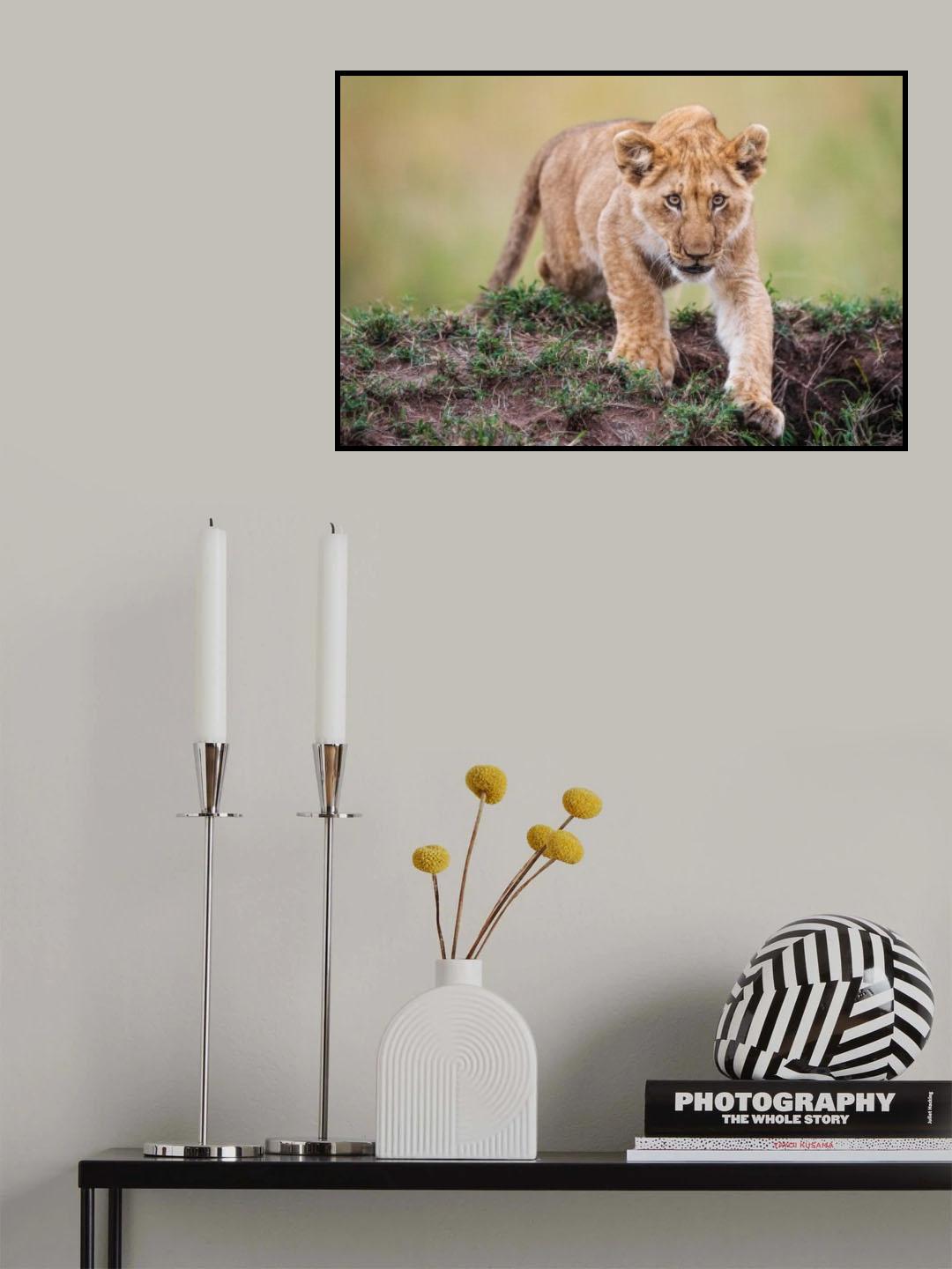 Aim Poster och Canvastavla