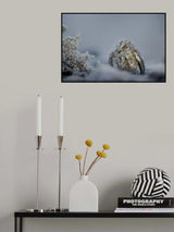 Winter days Poster och Canvastavla