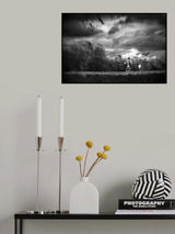 Poster och Canvastavla