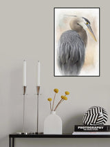 Great Blue Heron Portrait Poster och Canvastavla