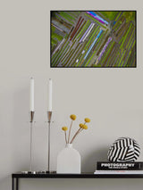 Traditional farming methods on floating islands Poster och Canvastavla