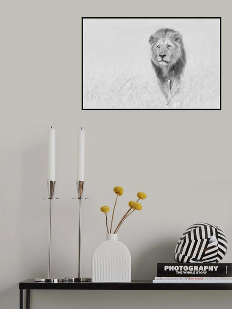 The King of The Prairie Poster och Canvastavla
