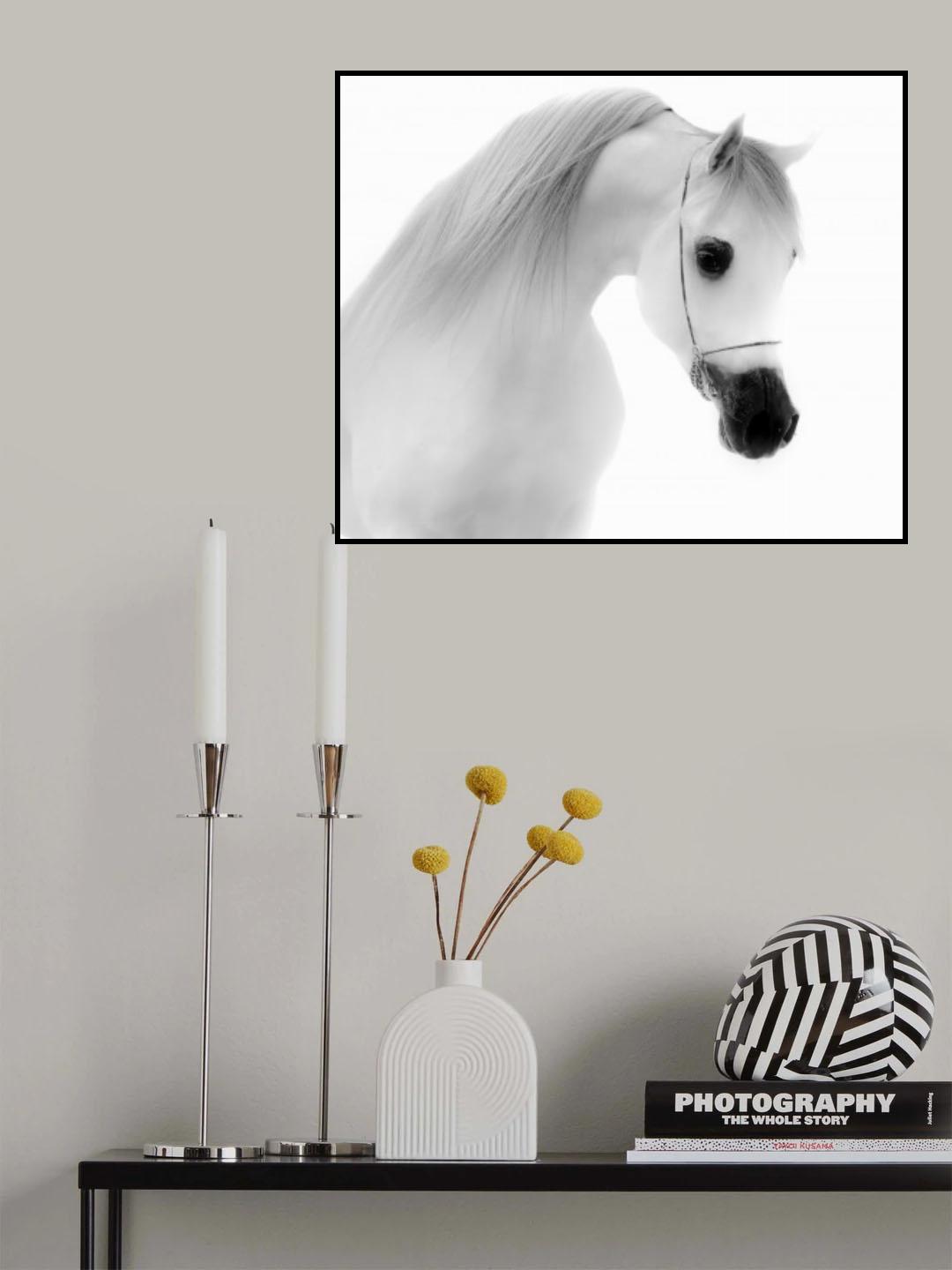 The White Poster och Canvastavla