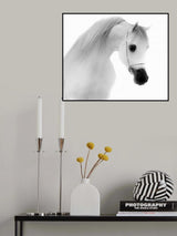 The White Poster och Canvastavla