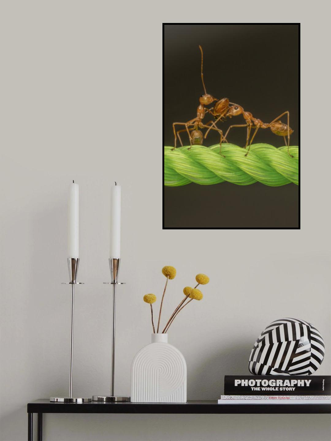 Game Of Life &amp; Death Poster och Canvastavla