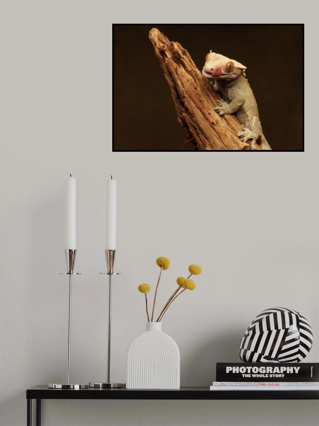 Leopard Gecko Poster och Canvastavla