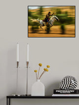 white hourse Poster och Canvastavla