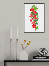 Japanese quince or Chaenomeles japonica botanical painting Poster och Canvastavla