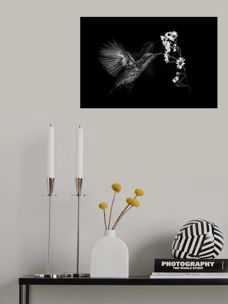 Motion Poster och Canvastavla