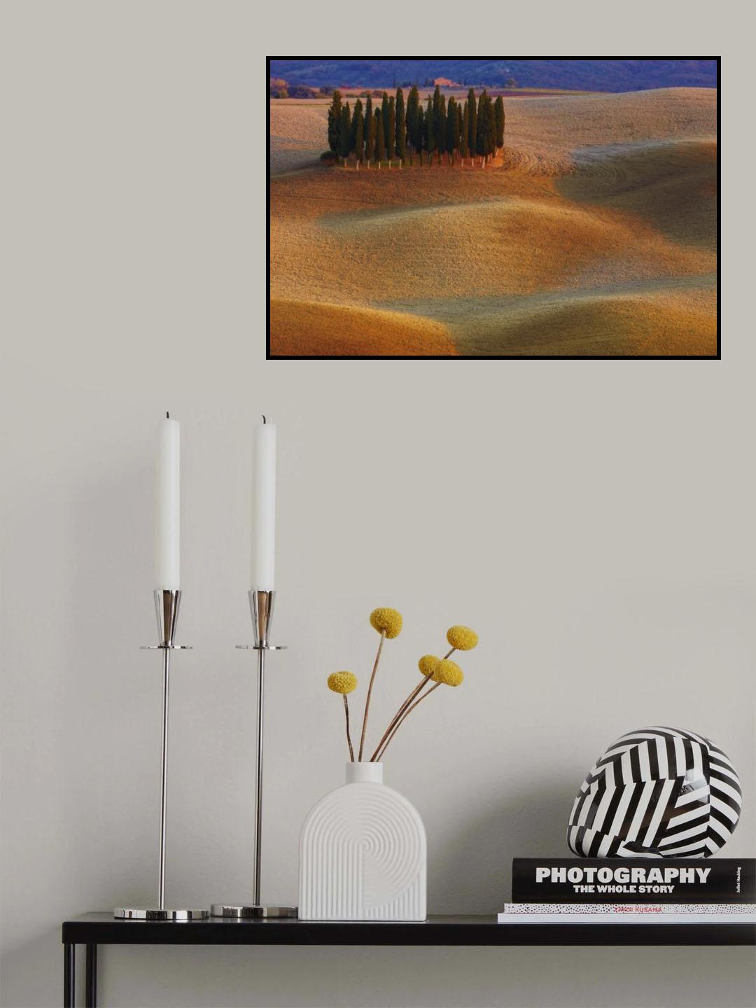 Toscana Poster och Canvastavla