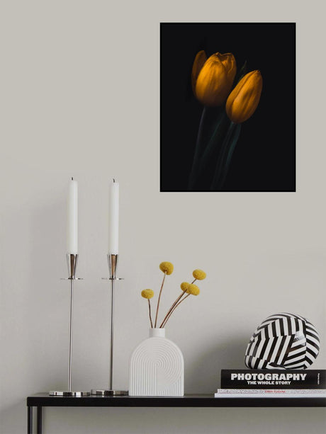 Golden Tulip Poster och Canvastavla