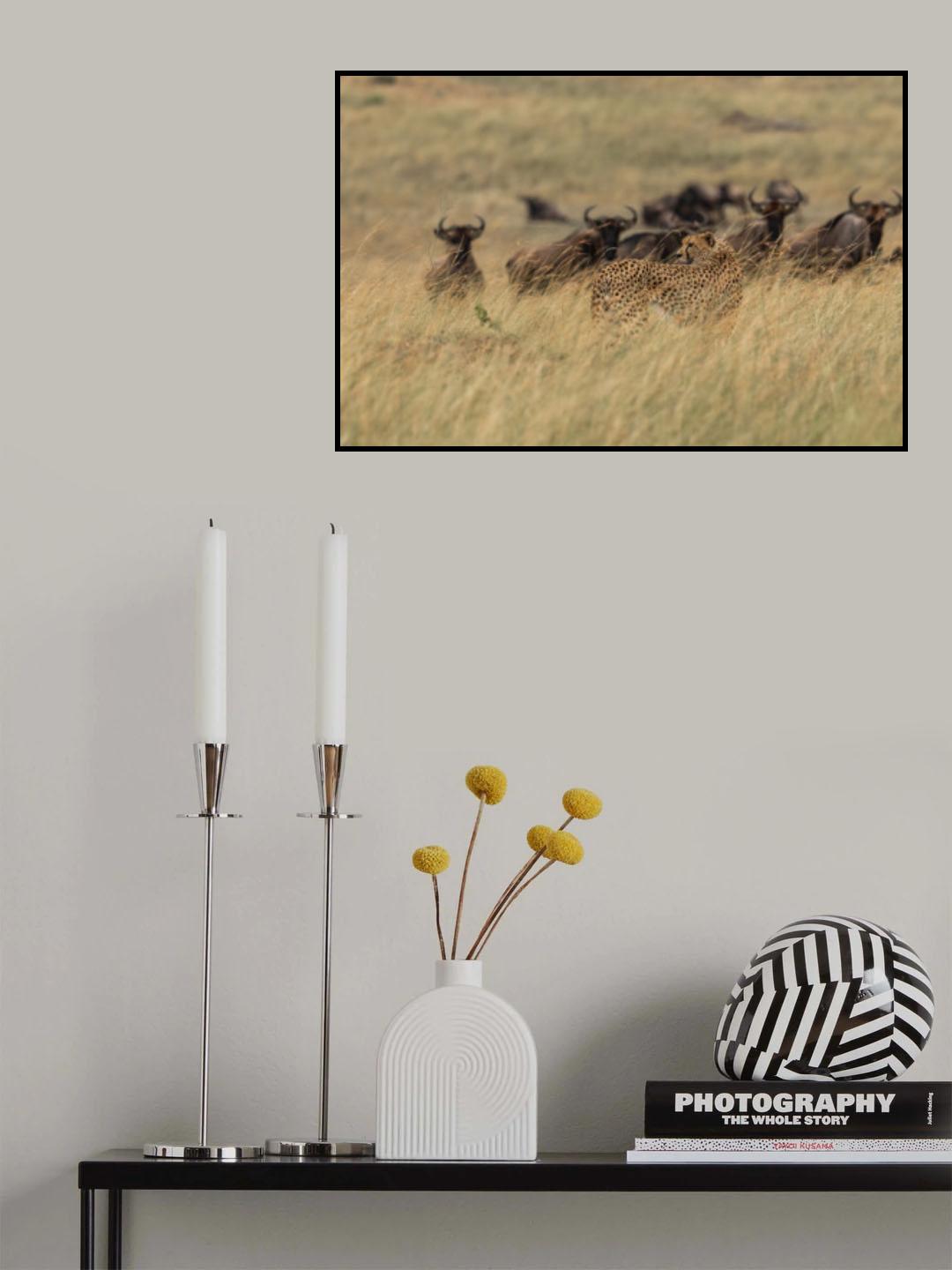 Poster och Canvastavla