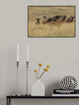 Poster och Canvastavla