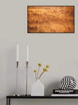 Golden morning Poster och Canvastavla