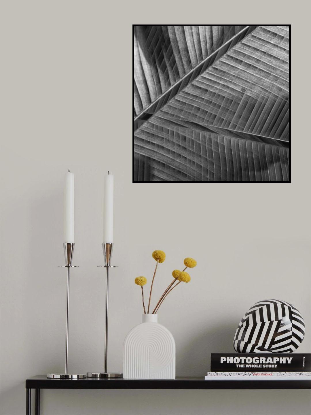 Banana lattice. Poster och Canvastavla