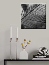Banana lattice. Poster och Canvastavla
