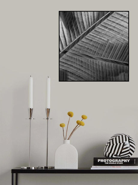 Banana lattice. Poster och Canvastavla