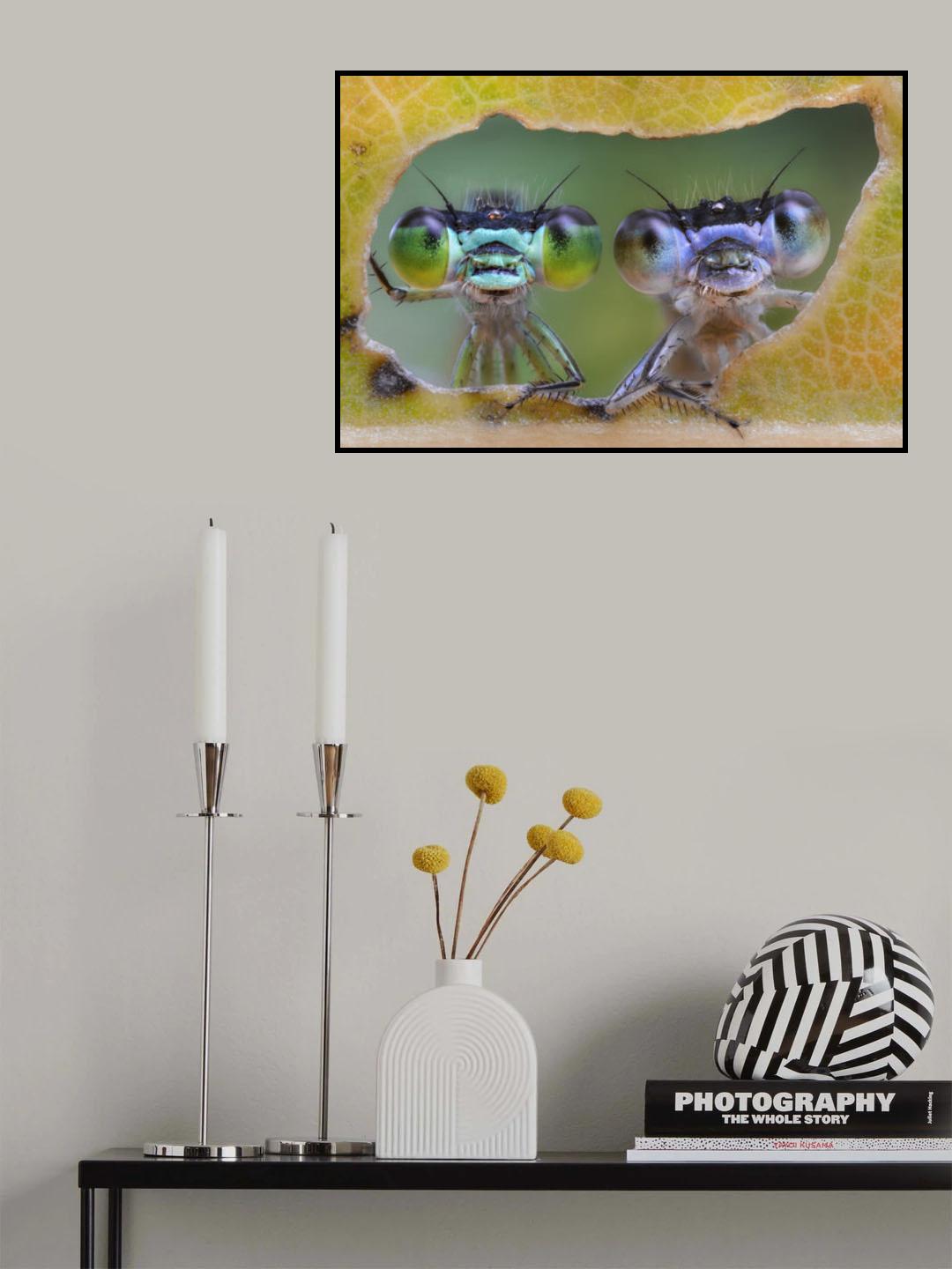 Two nice faces Poster och Canvastavla