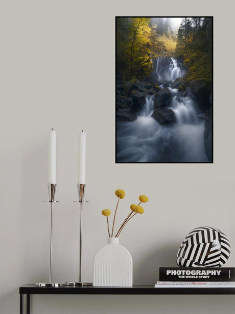 Silver Rain II Poster och Canvastavla