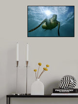 Bright Poster och Canvastavla