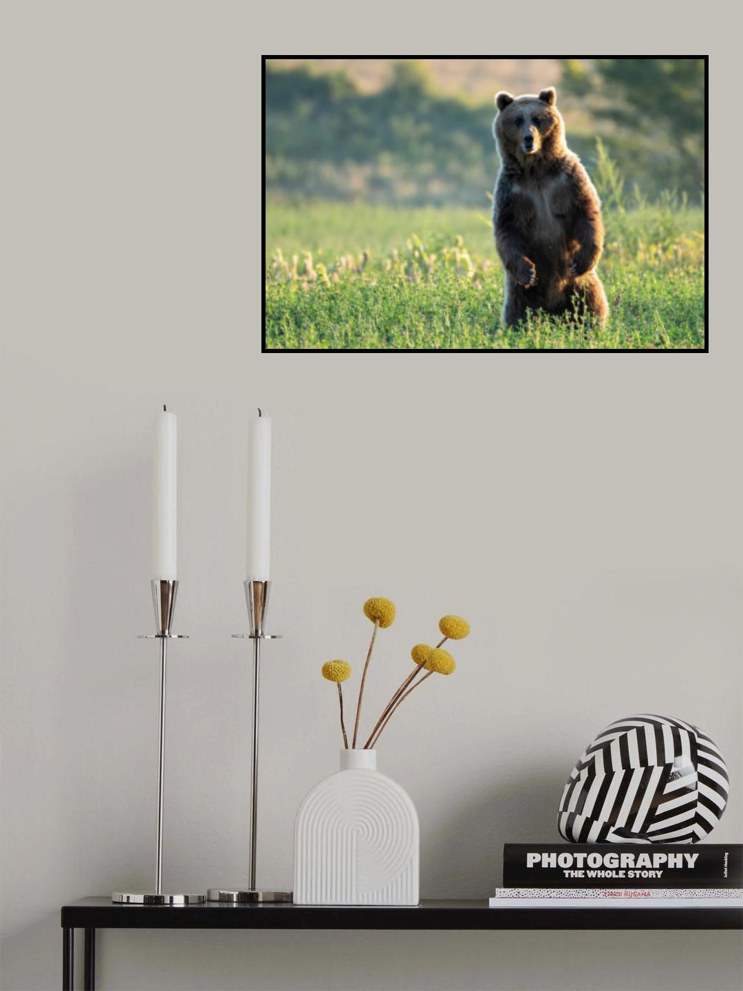 Face to face in the first rays of the sunrise Poster och Canvastavla