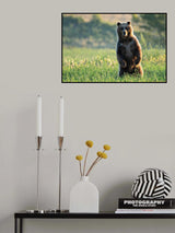 Face to face in the first rays of the sunrise Poster och Canvastavla