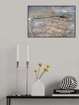 Island Poster och Canvastavla