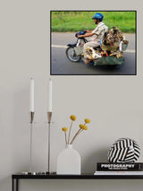 25 on a motorbike Poster och Canvastavla