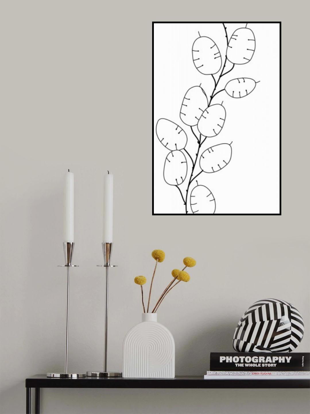 Lunaria Poster och Canvastavla