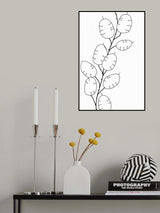 Lunaria Poster och Canvastavla
