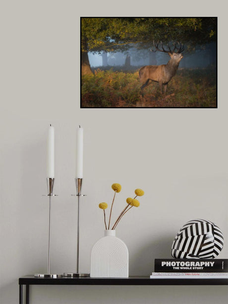 Autumn calling Poster och Canvastavla