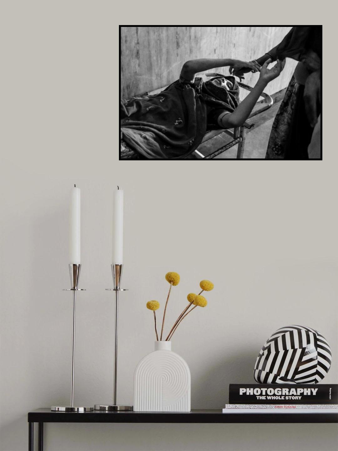 Hang in there Poster och Canvastavla