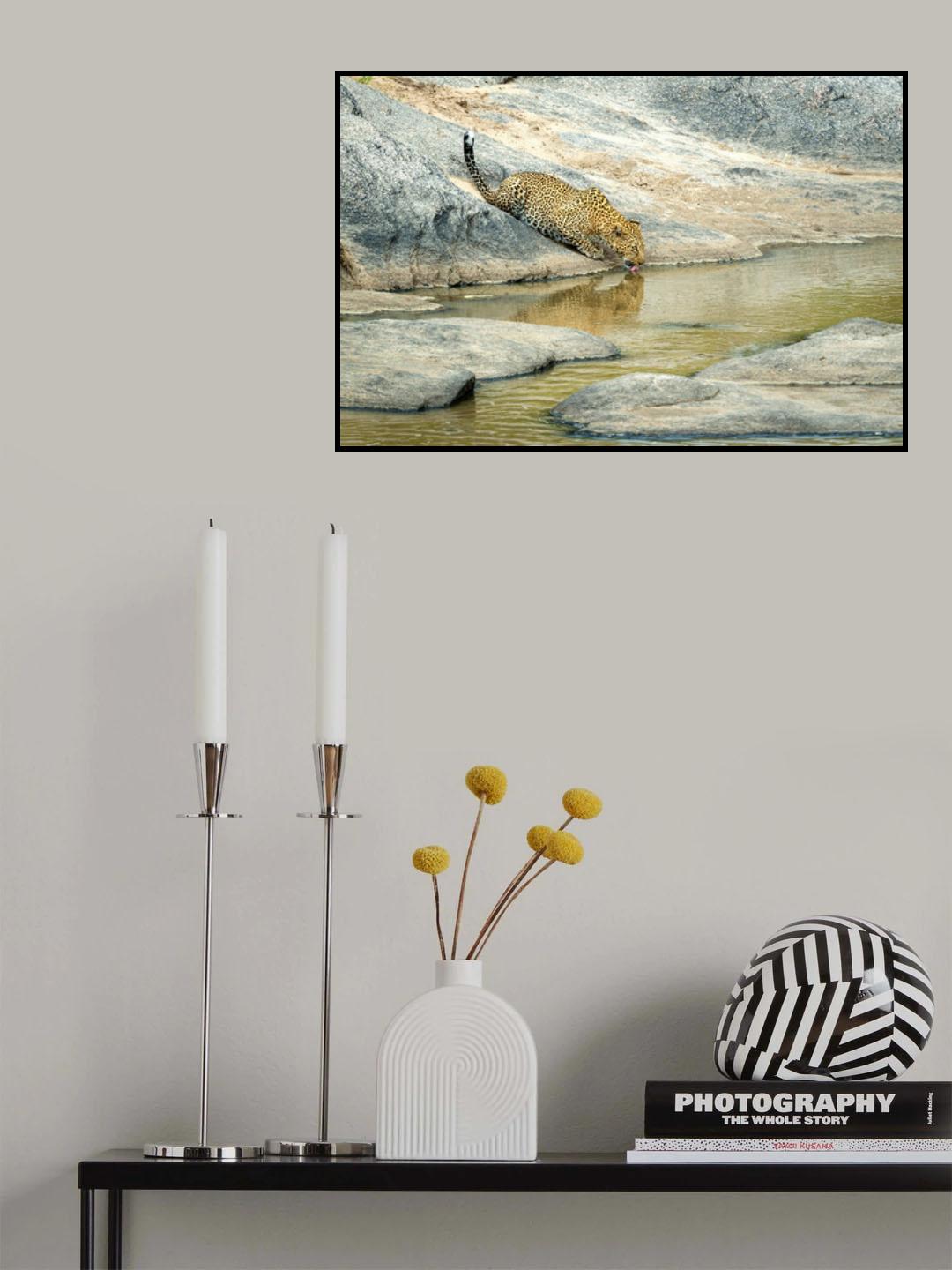 Early morning drink Poster och Canvastavla