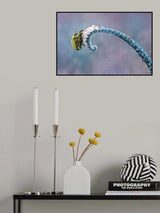 Mating Poster och Canvastavla