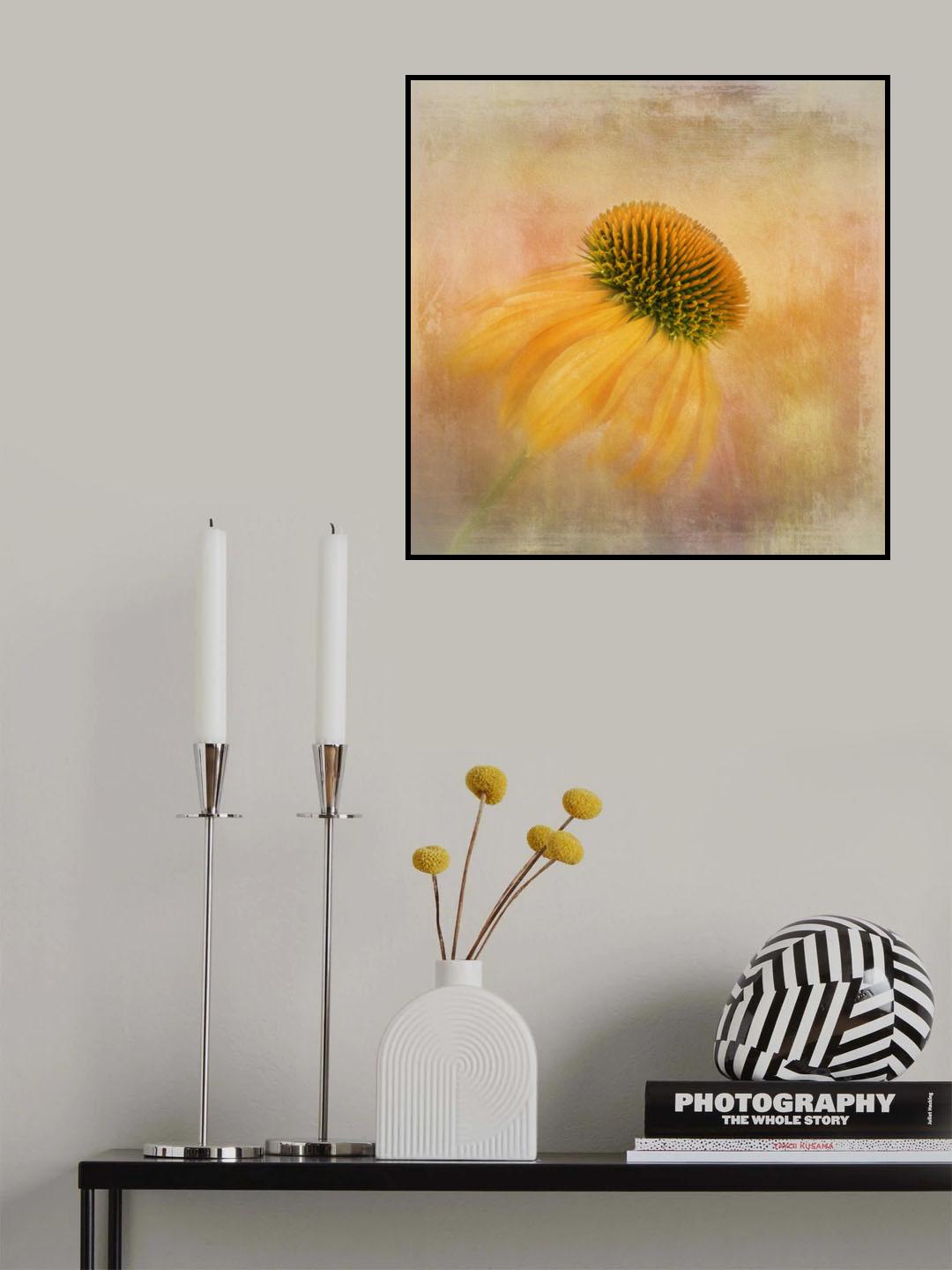 Echinacea in Yellow Poster och Canvastavla