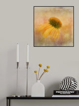 Echinacea in Yellow Poster och Canvastavla