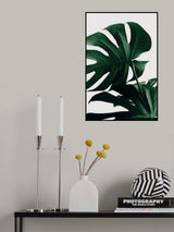 Monstera Natural 34 Poster och Canvastavla