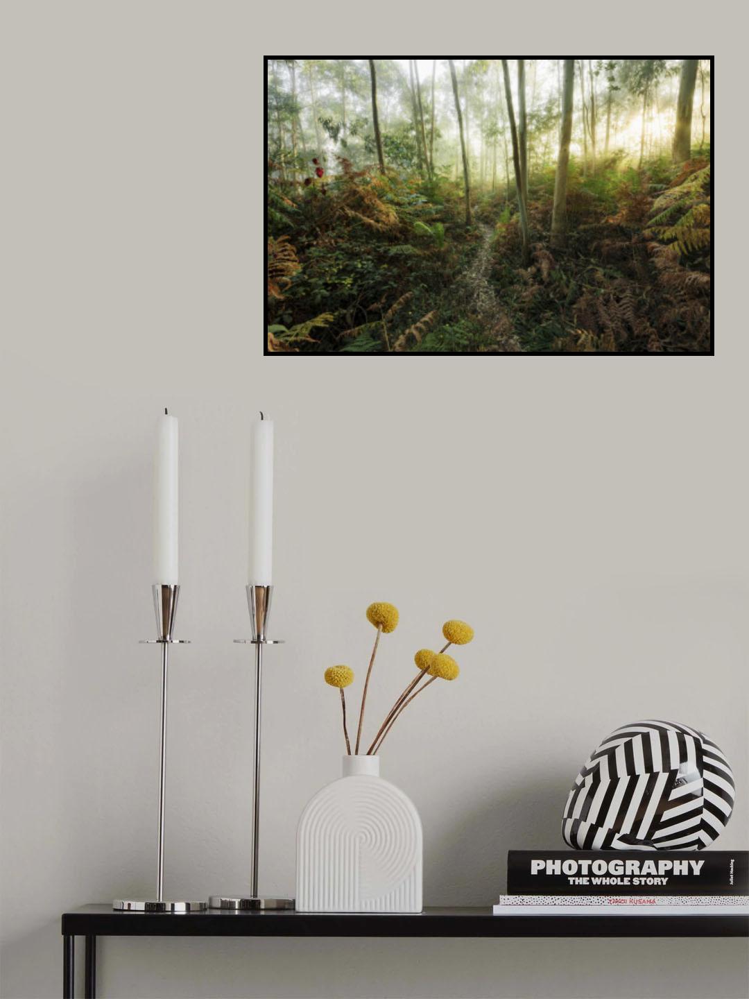 Foggy Woods II Poster och Canvastavla