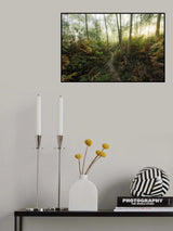 Foggy Woods II Poster och Canvastavla
