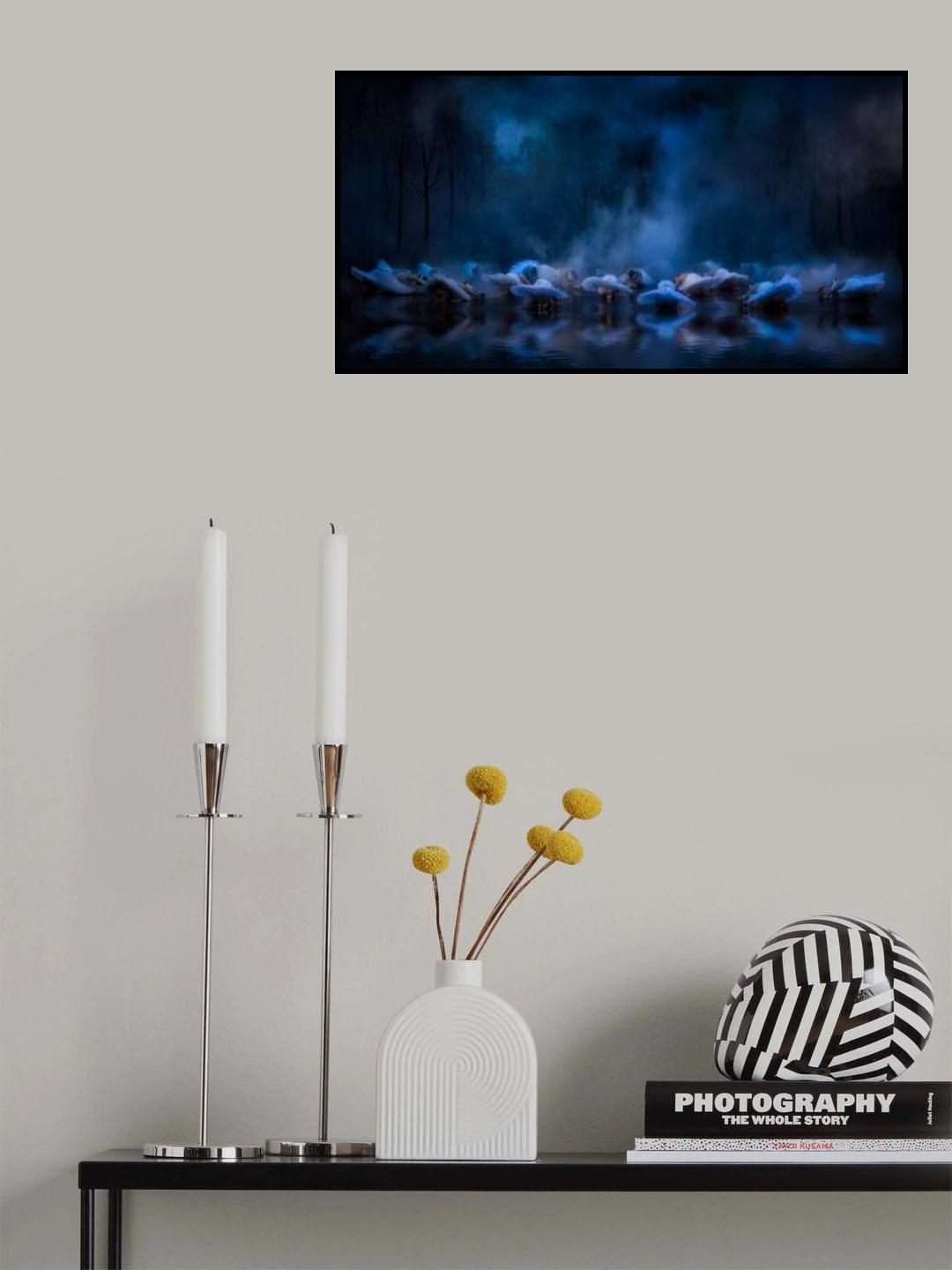 Swans on the lake.... Poster och Canvastavla