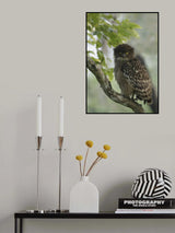 Brown fish owl 🦉 Poster och Canvastavla