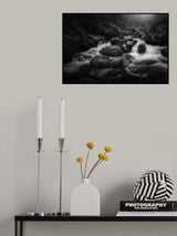 Shot in the Dark Poster och Canvastavla