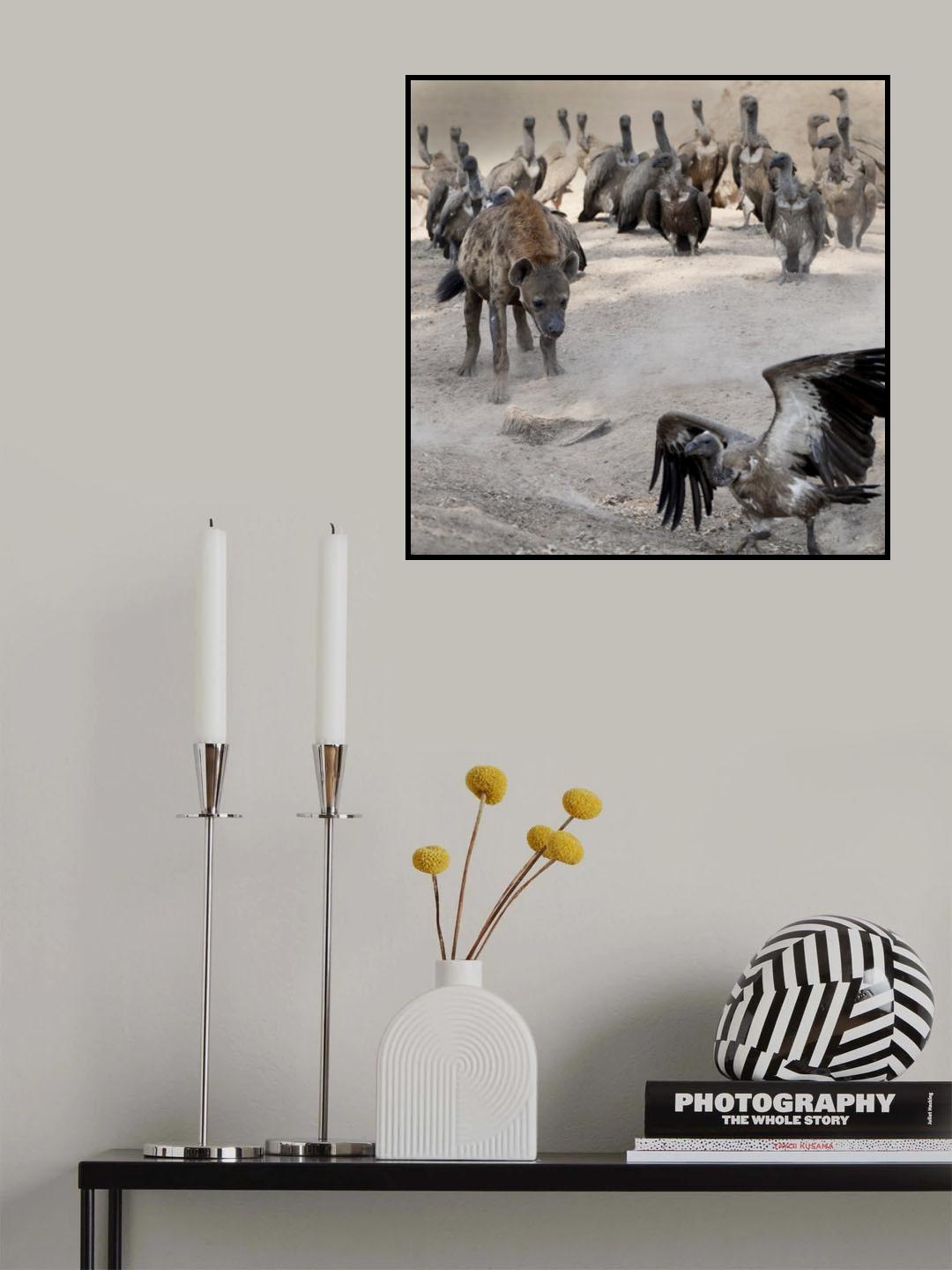 Rubbernecks Poster och Canvastavla