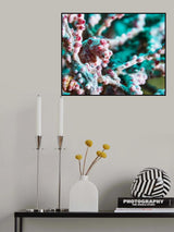 Small world Poster och Canvastavla